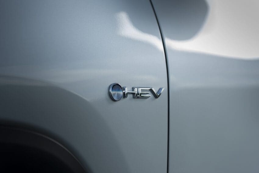 EV campaigners call for crackdown on ‘confusing’ car names