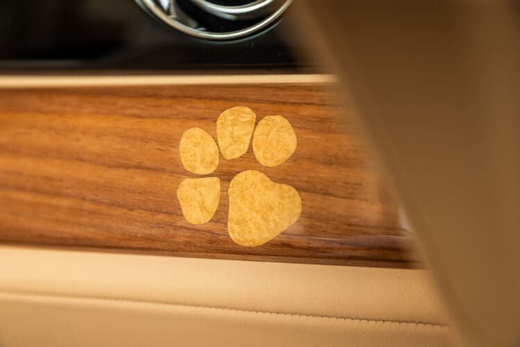Rolls-Royce Spectre Bailey paw print detail on dashboard