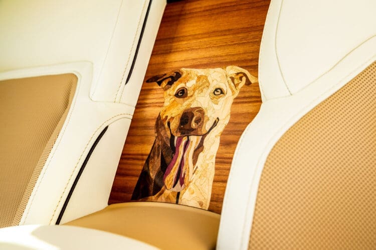 Rolls-Royce Spectre Bailey portrait in waterfall