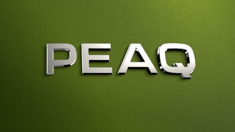 skoda peaq badge